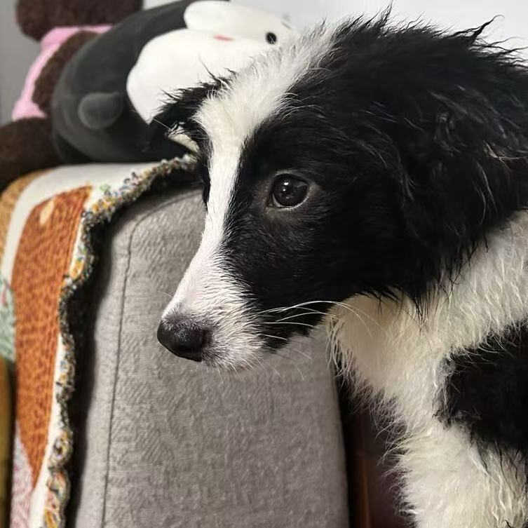 DengLou